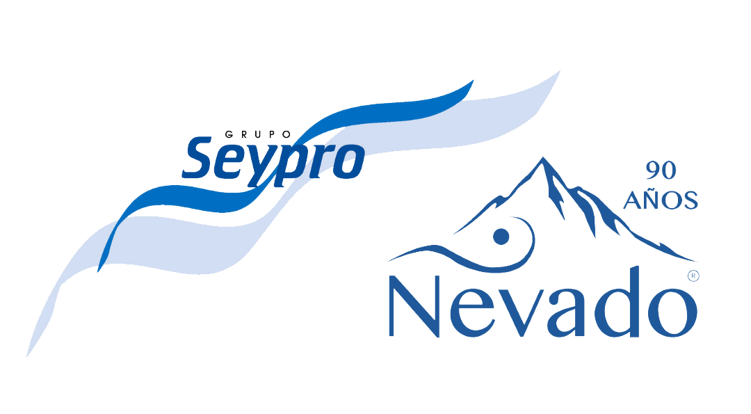 GRUPO SEYPRO S.A. de C.V.